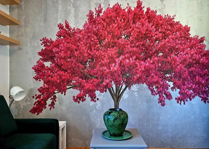 Classy - - Centrum *